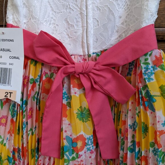 ⭐ 🆕 New Rare Editions floral Spring/Easter/Mother's day dress 2T - Picture 5 of 15